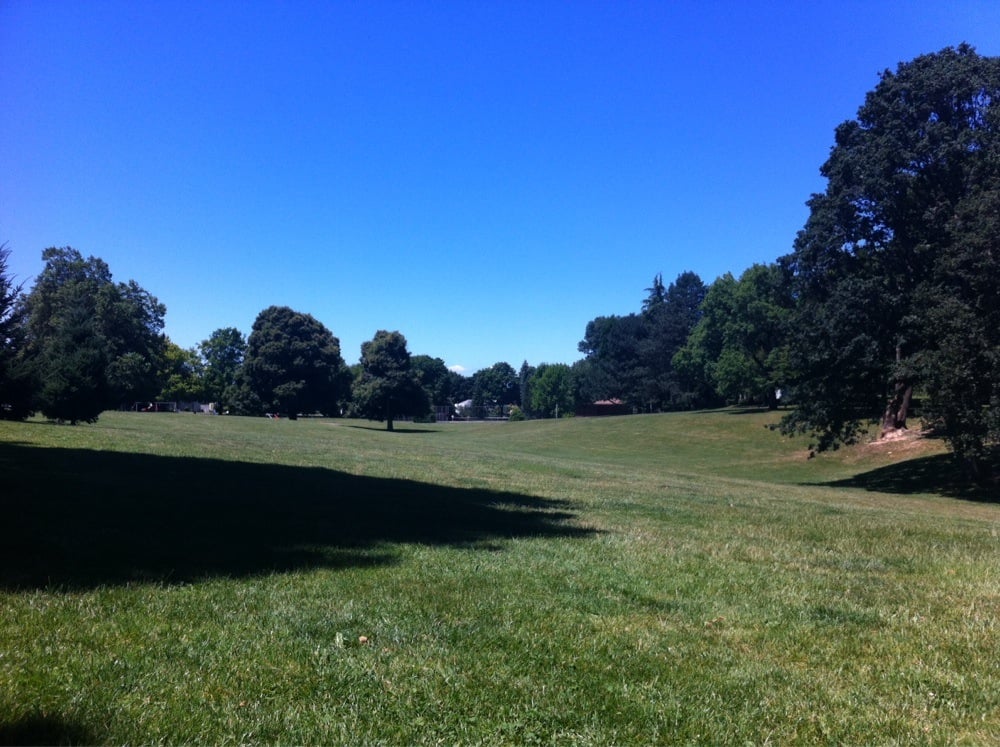 Fernhill Park dog park
