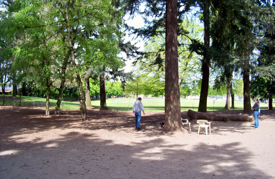 Normandale Dog Park dog park