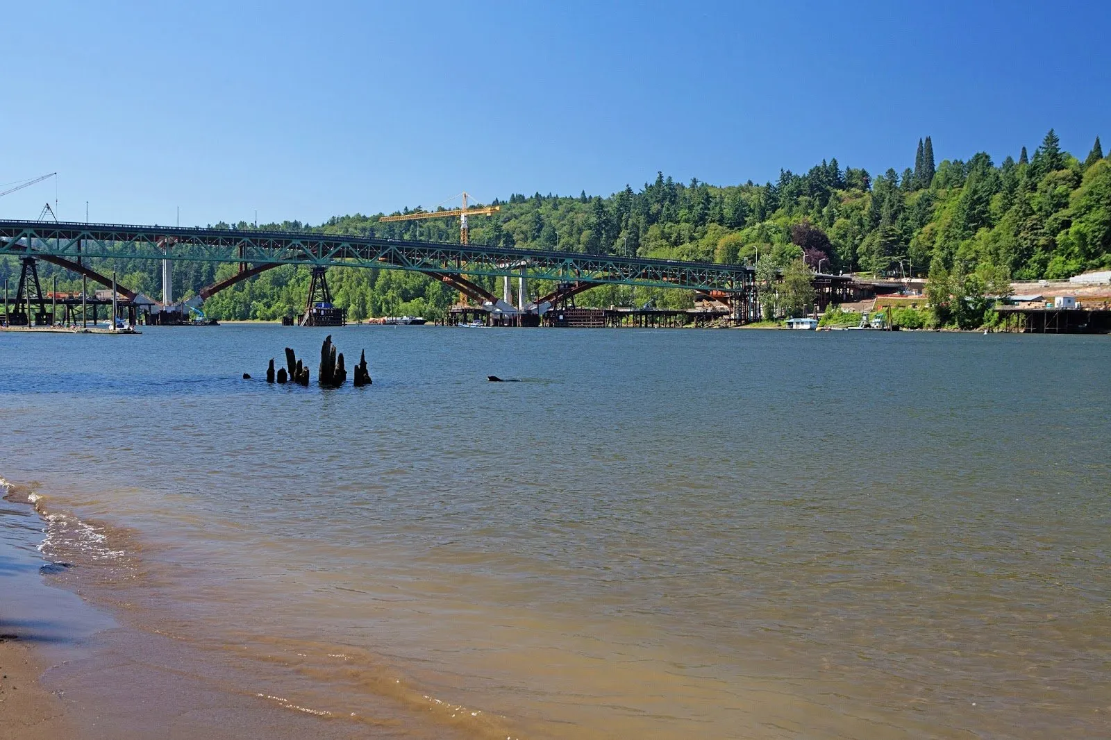 Sellwood Riverfront Park dog park